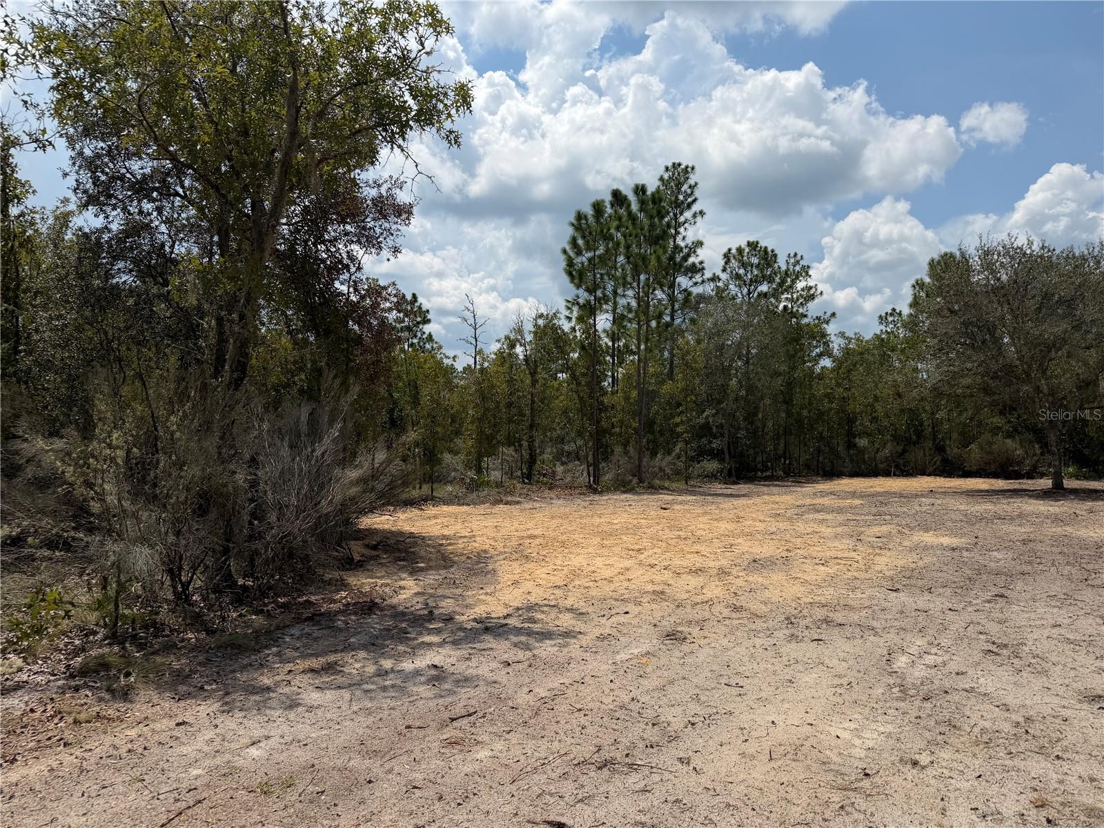 Tbd Ne 101st Ter Property Photo 3