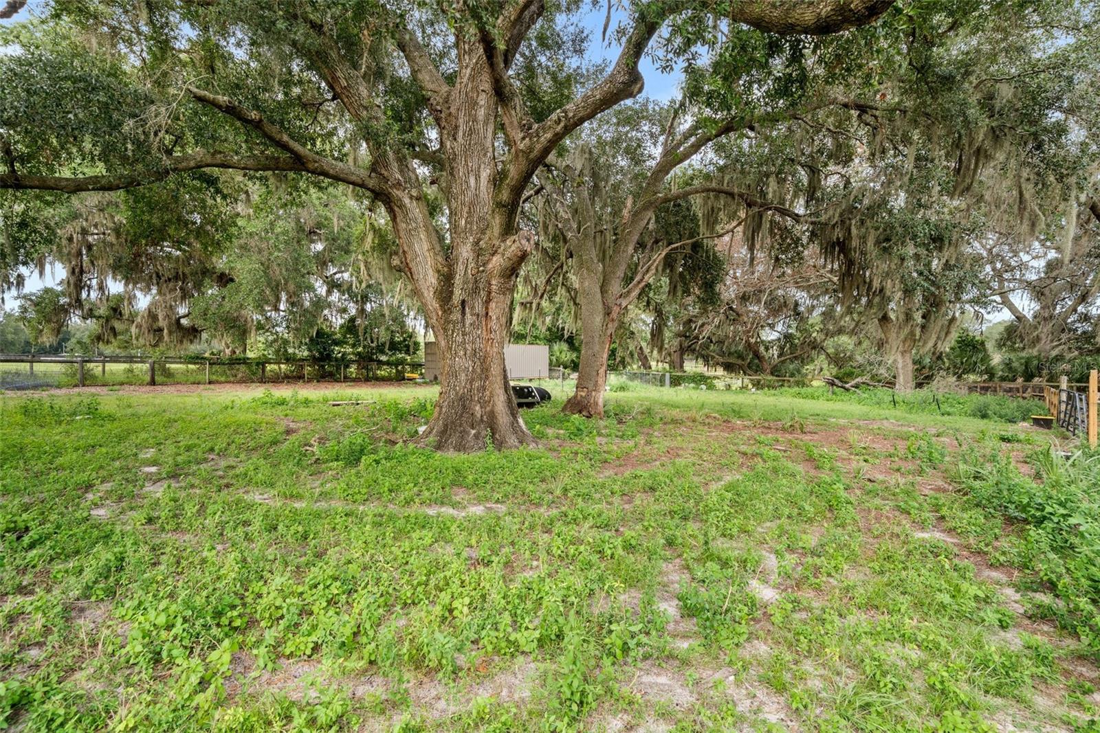 1750 Sw 17th Ter Property Photo 54