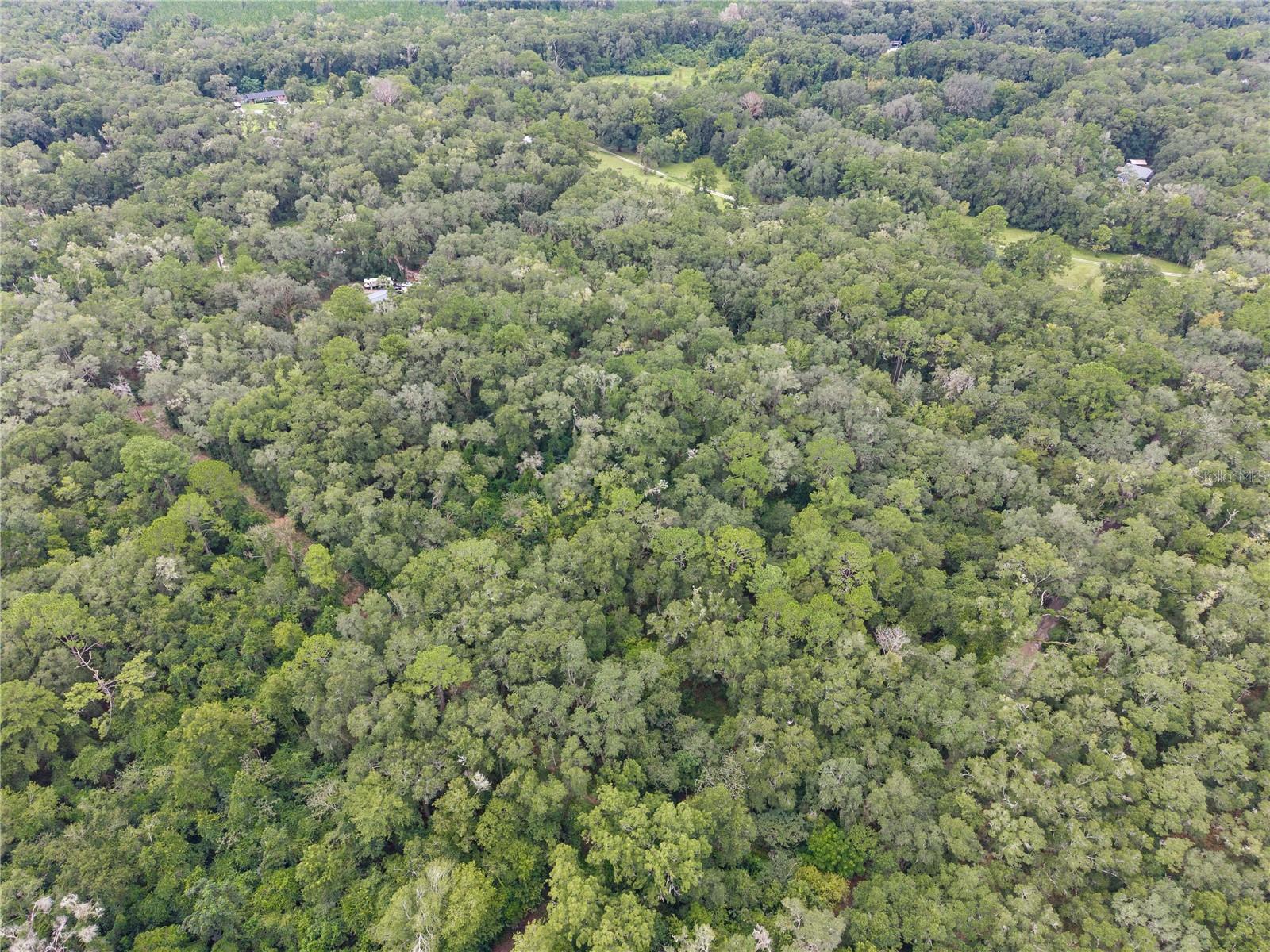 Sw 57th Rd Property Photo 7