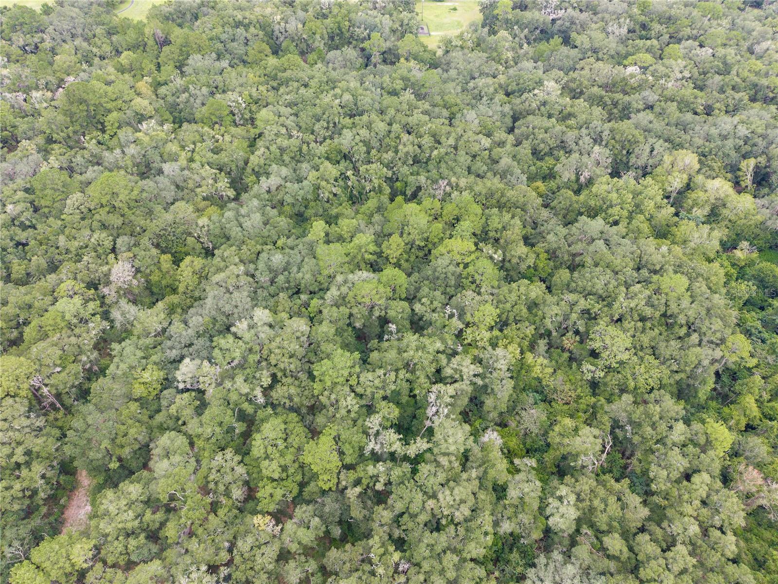 Sw 57th Rd Property Photo 11