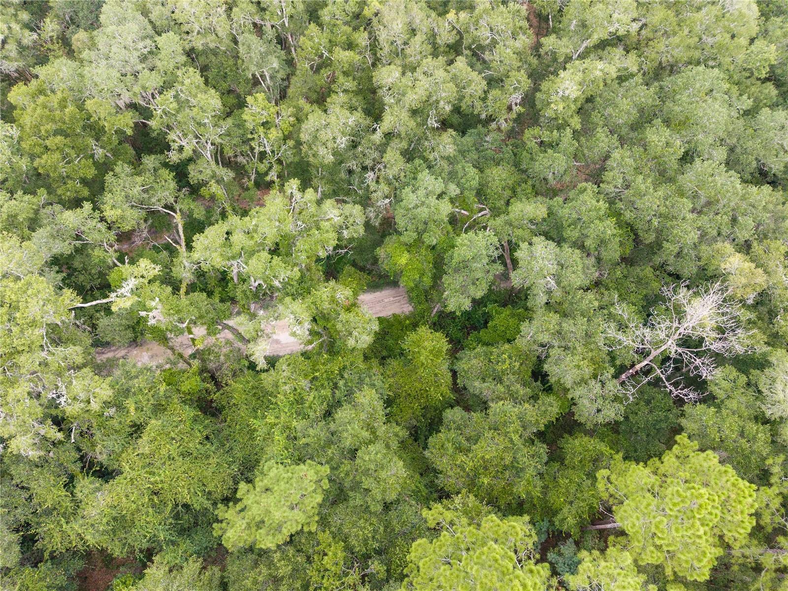Sw 57th Rd Property Photo 12