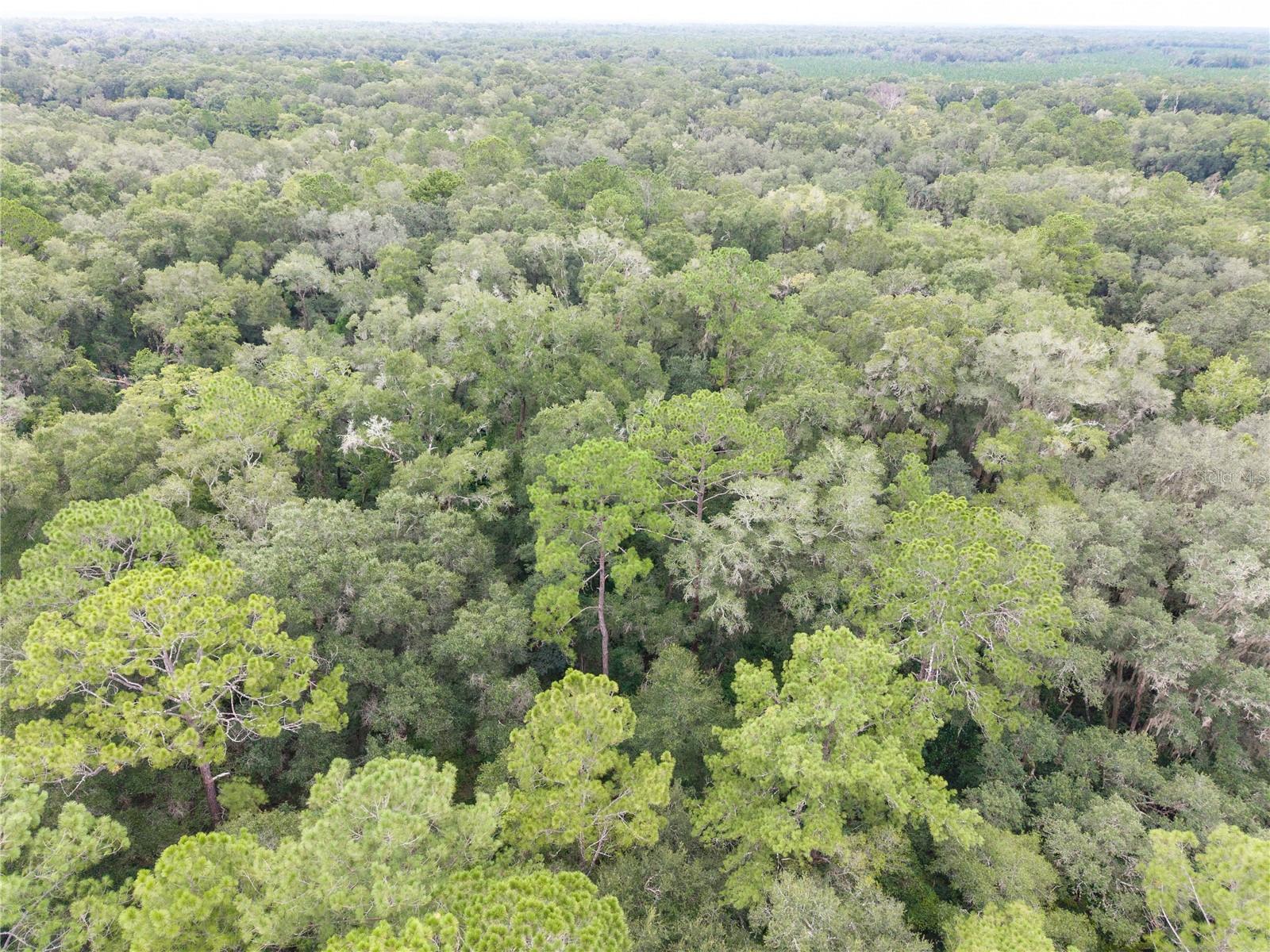 Sw 57th Rd Property Photo 13
