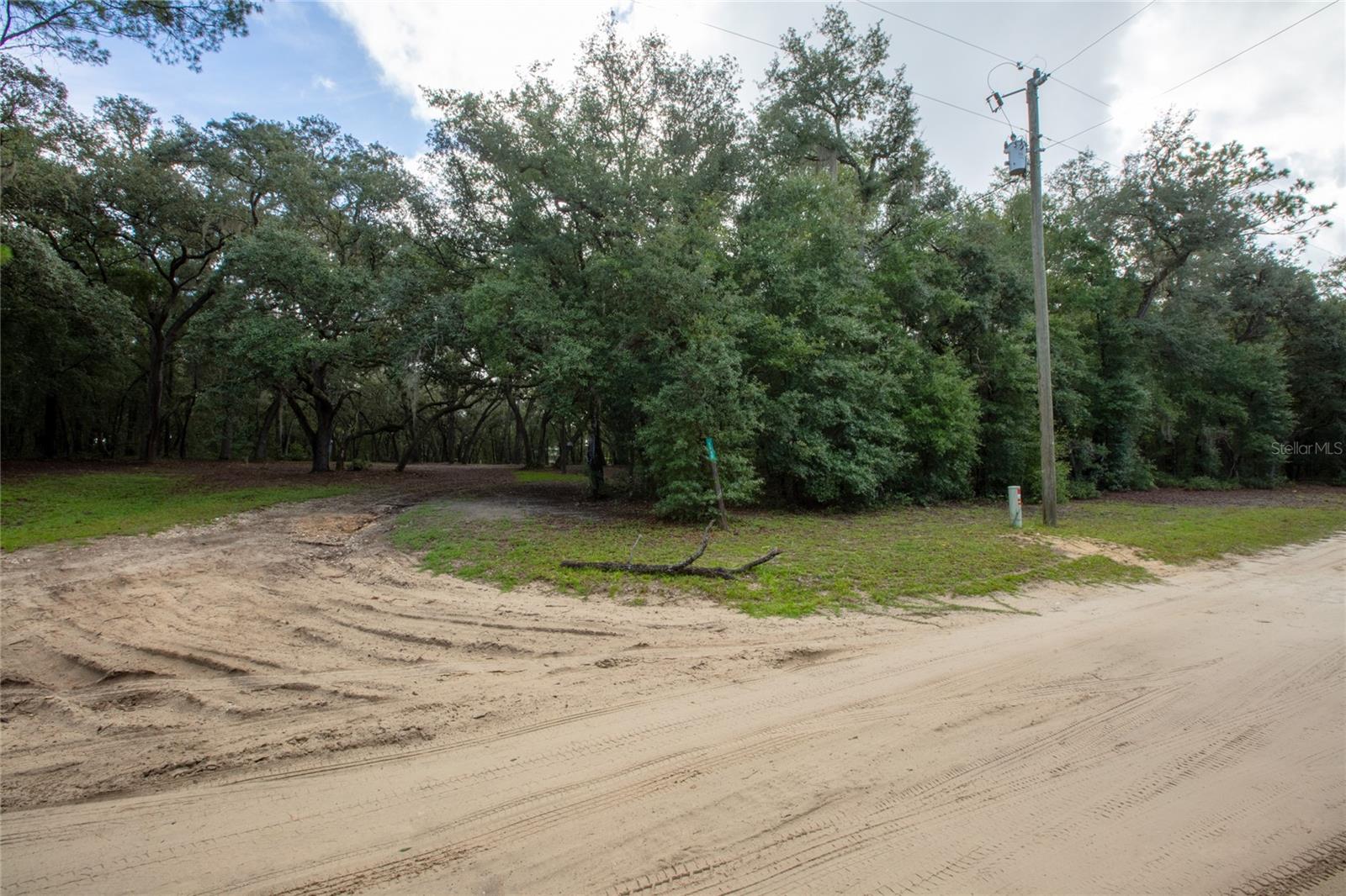 5590 Jenkins Loop Dr Property Photo 1