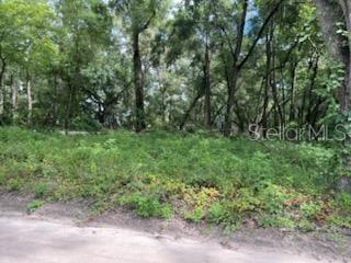 17411 Nw 110th Ave Property Photo 4