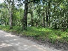 17411 Nw 110th Ave Property Photo 5