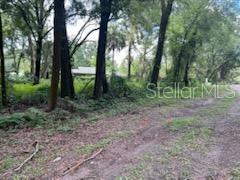 17411 Nw 110th Ave Property Photo 6