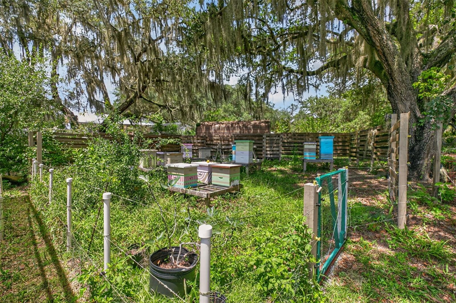 5919 White Sands Rd Property Photo 28