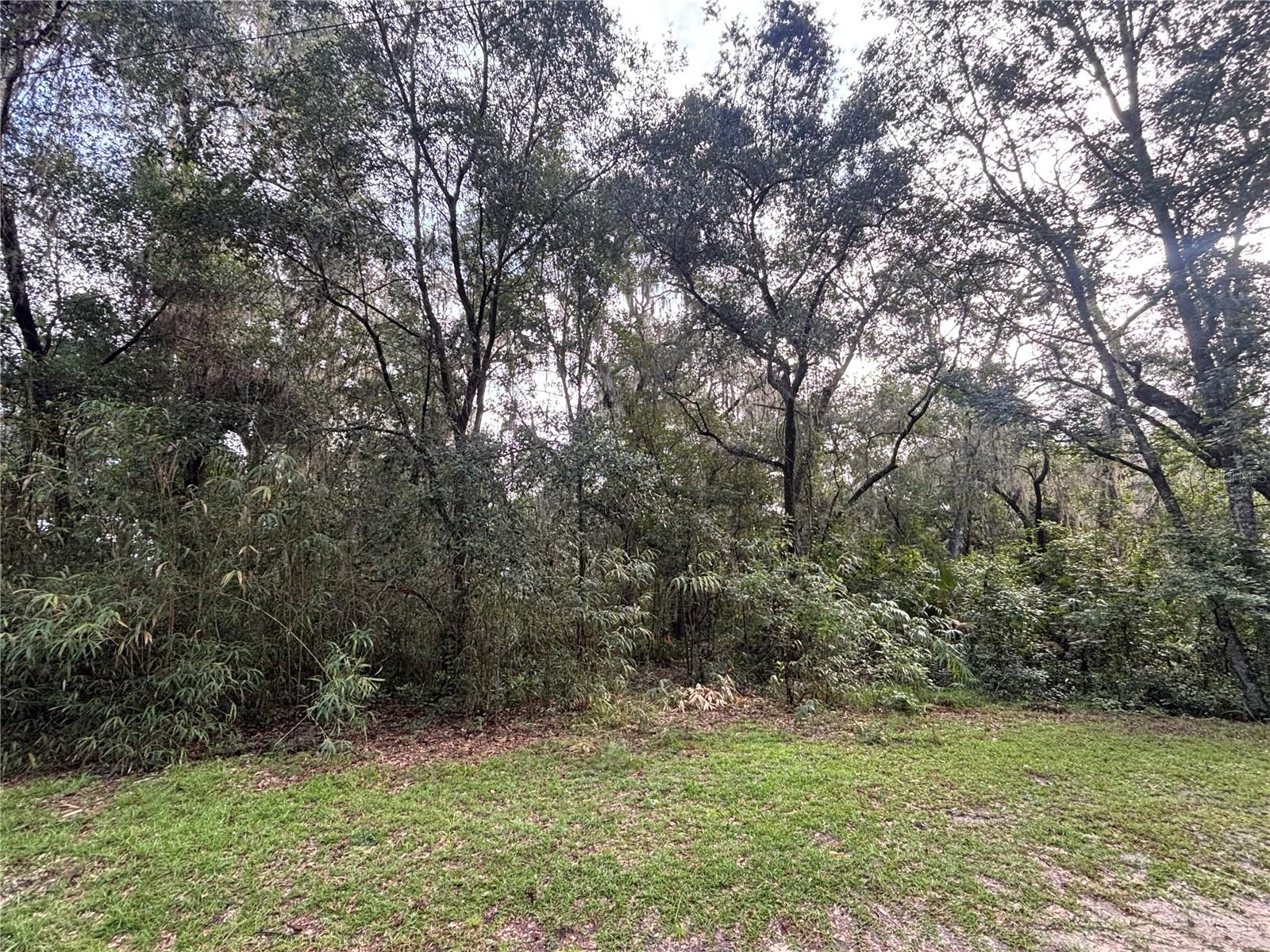 190 She She Rd Property Photo 1