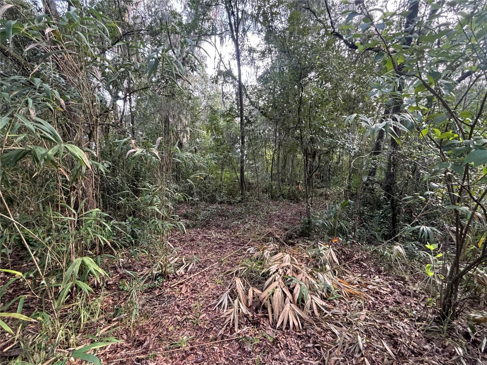 190 She She Rd Property Photo 4