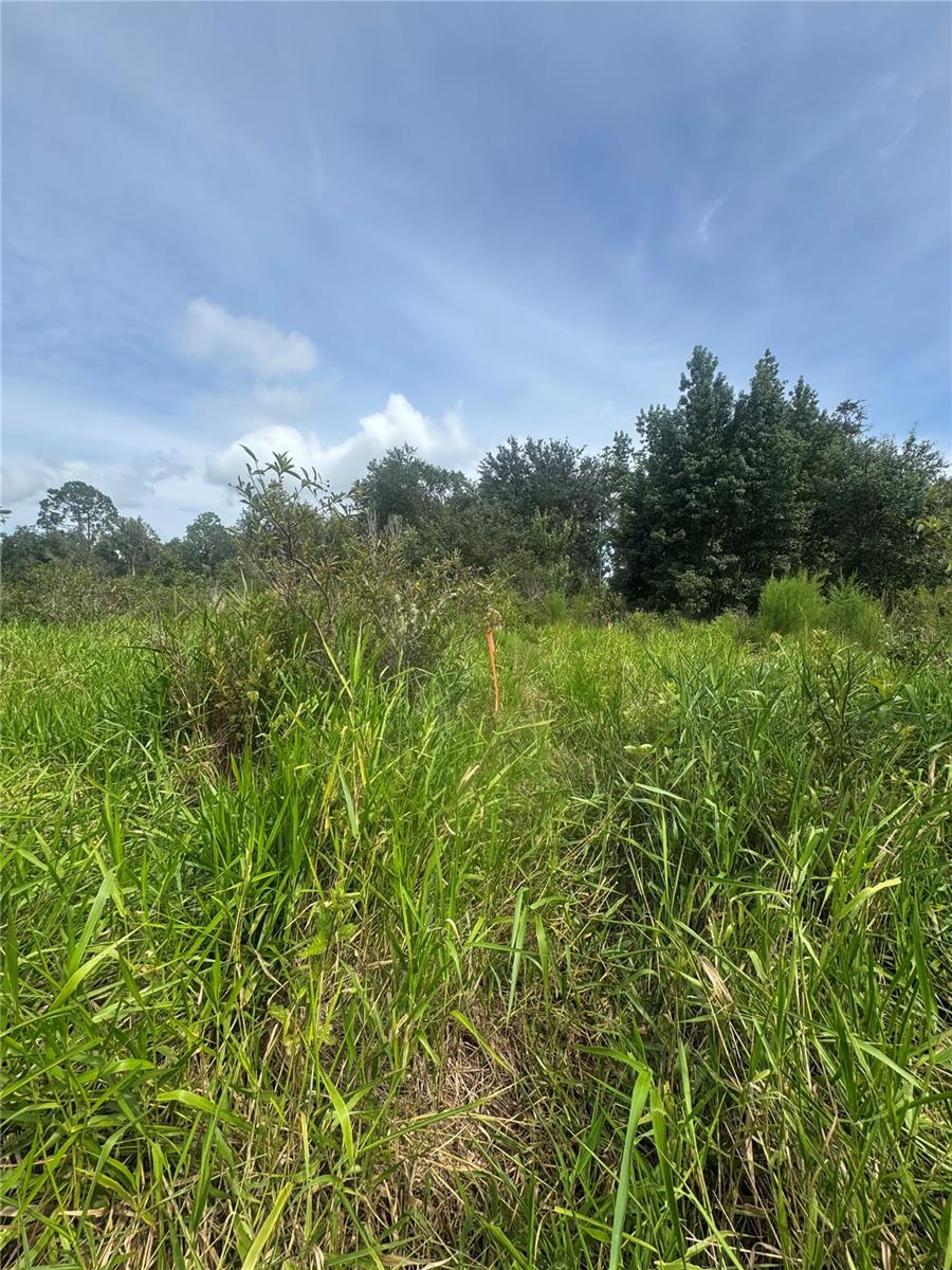 190 She She Rd Property Photo 6