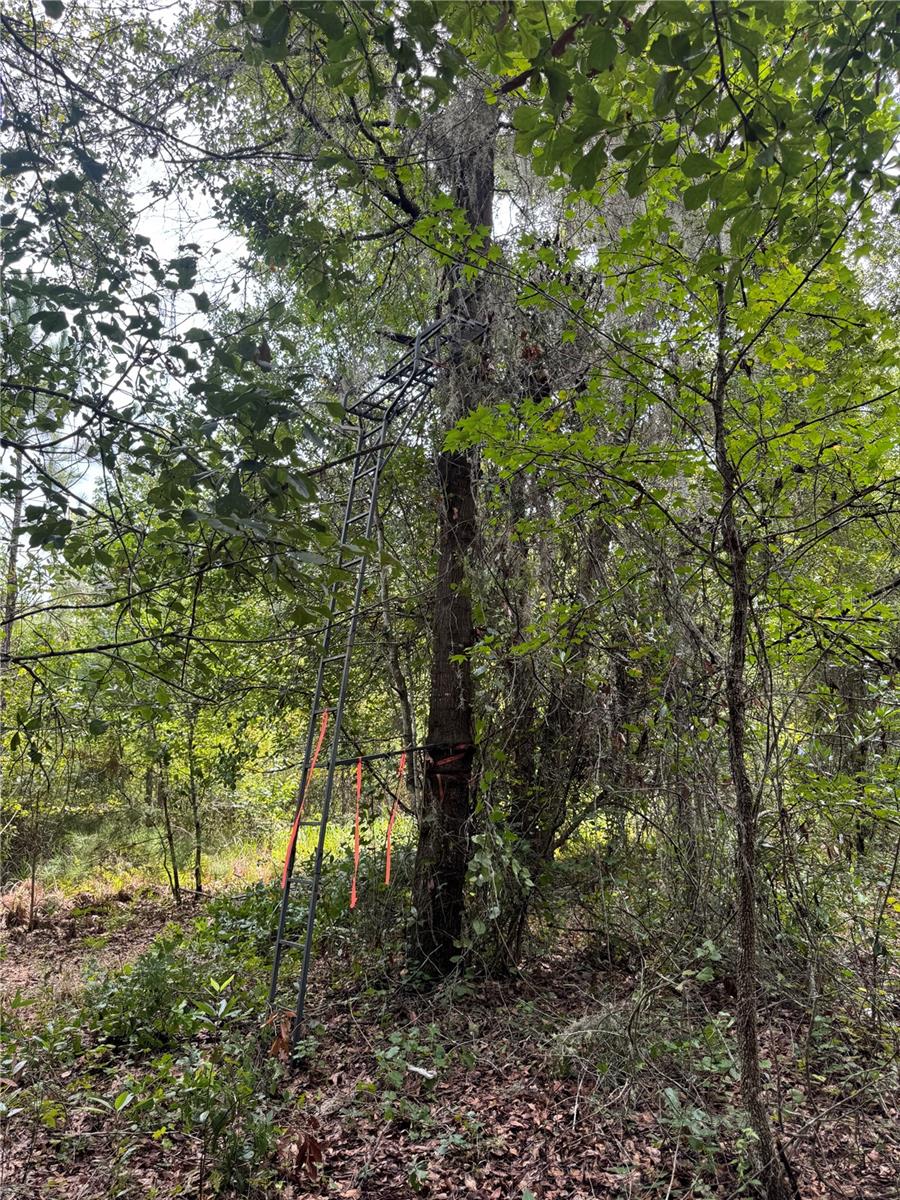 190 She She Rd Property Photo 7