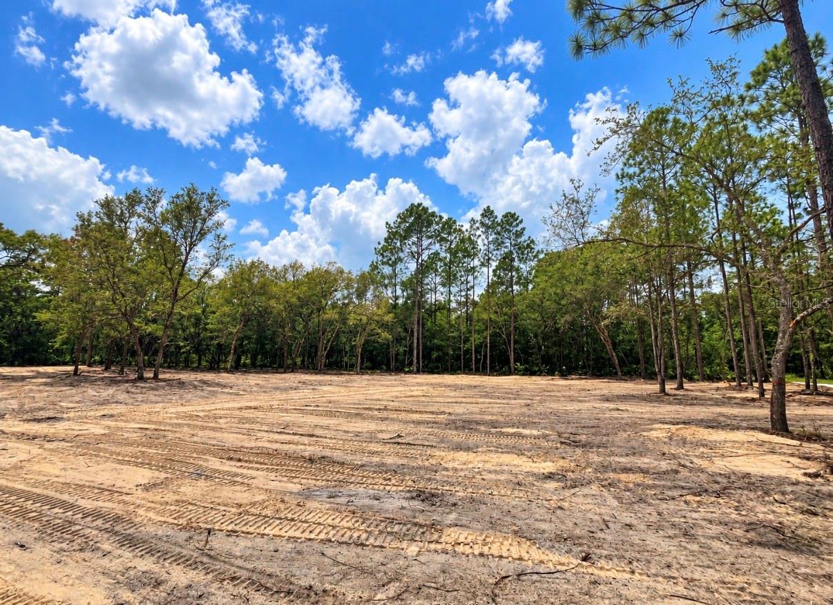 Tbd Ne 88th Ln Property Photo 1