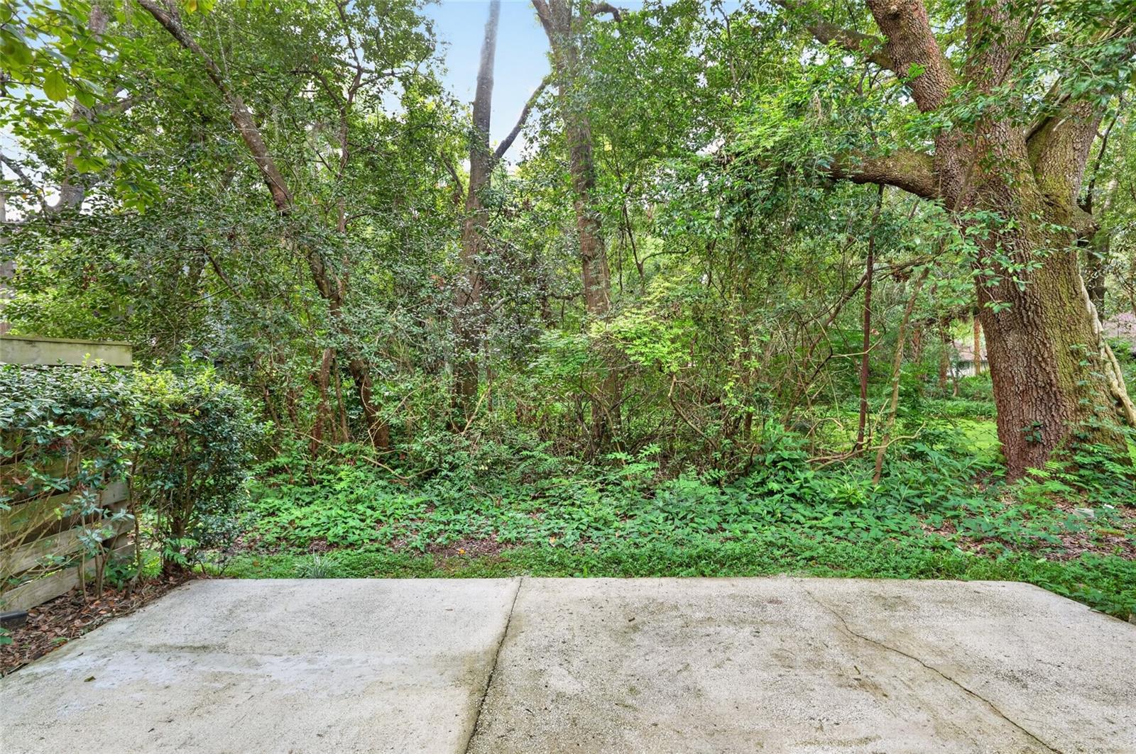4411 Black Forest Way Property Photo 54