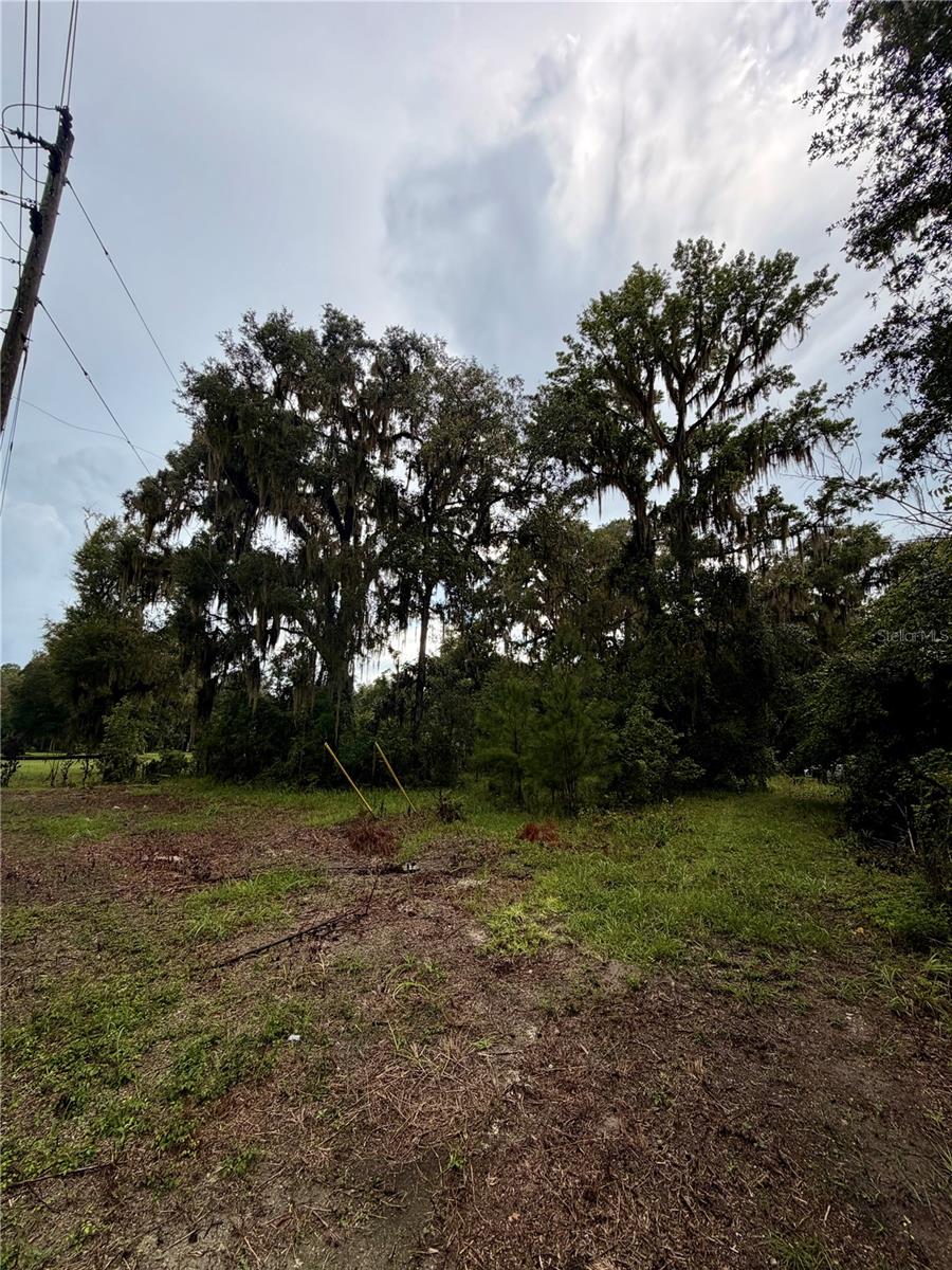 12602 Sw Williston Rd Property Photo 2