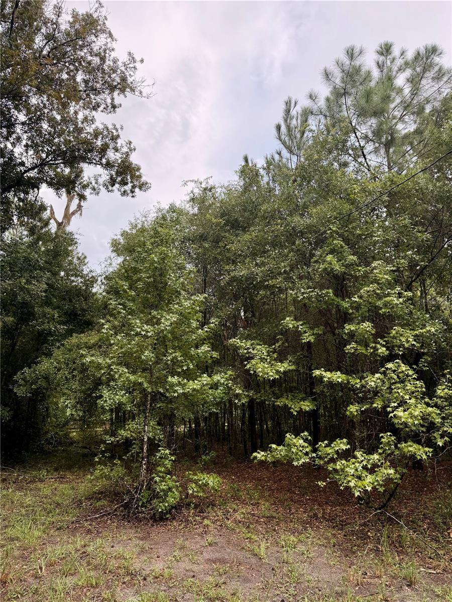 12602 Sw Williston Rd Property Photo 8
