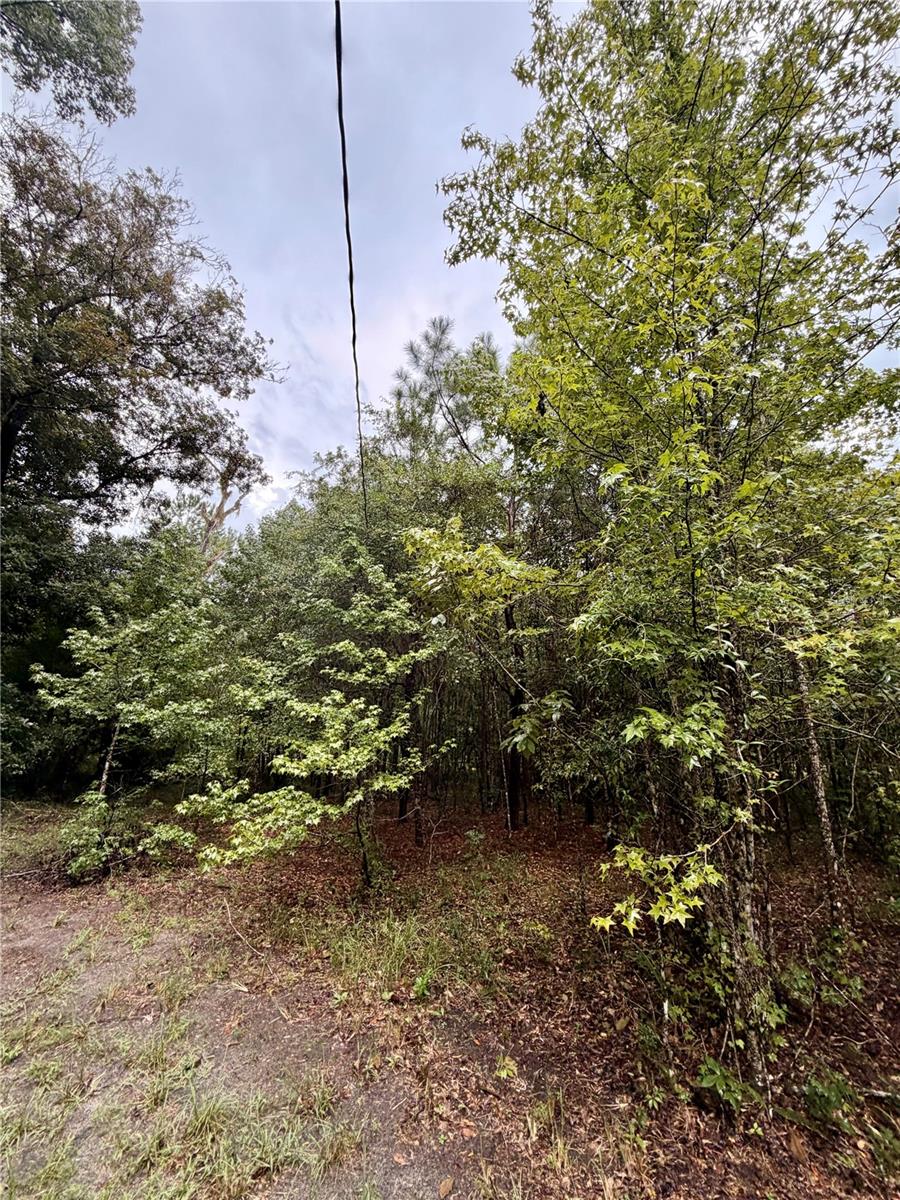 12602 Sw Williston Rd Property Photo 10