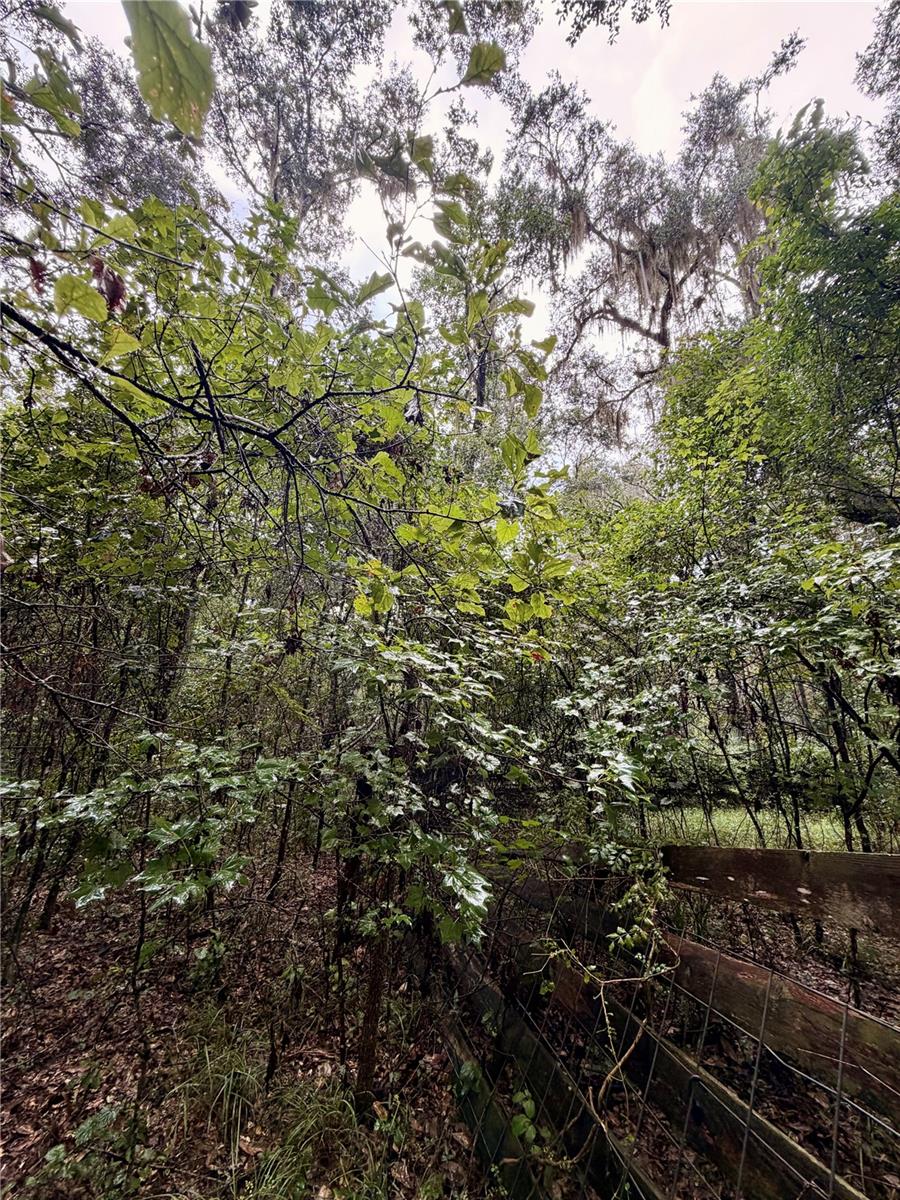 12602 Sw Williston Rd Property Photo 11