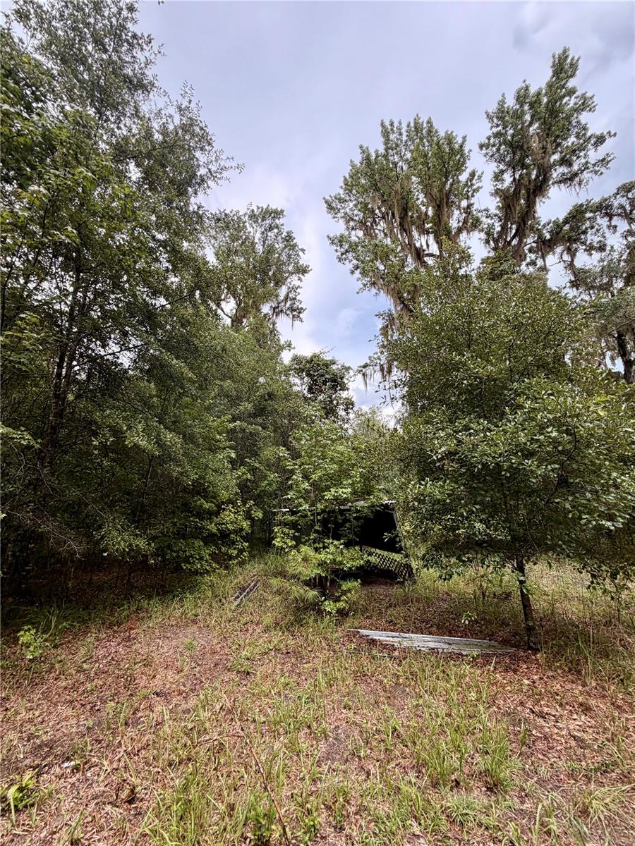 12602 Sw Williston Rd Property Photo 12