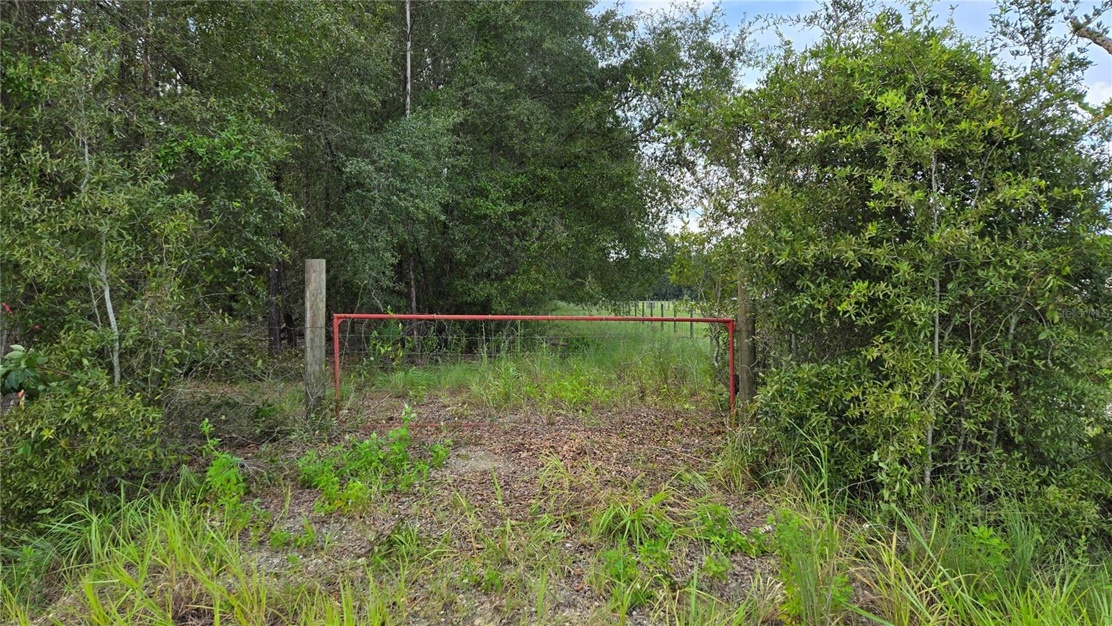 Ne Cr 337 Property Photo 3