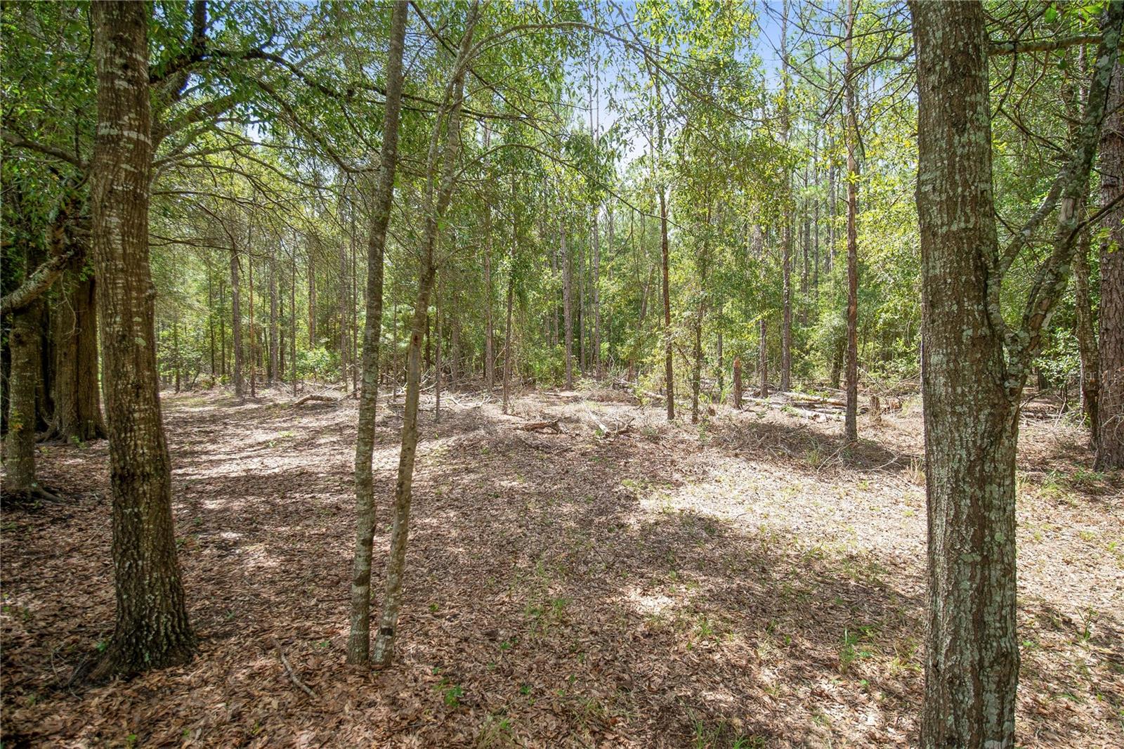 Ne Cr 337 Property Photo 4