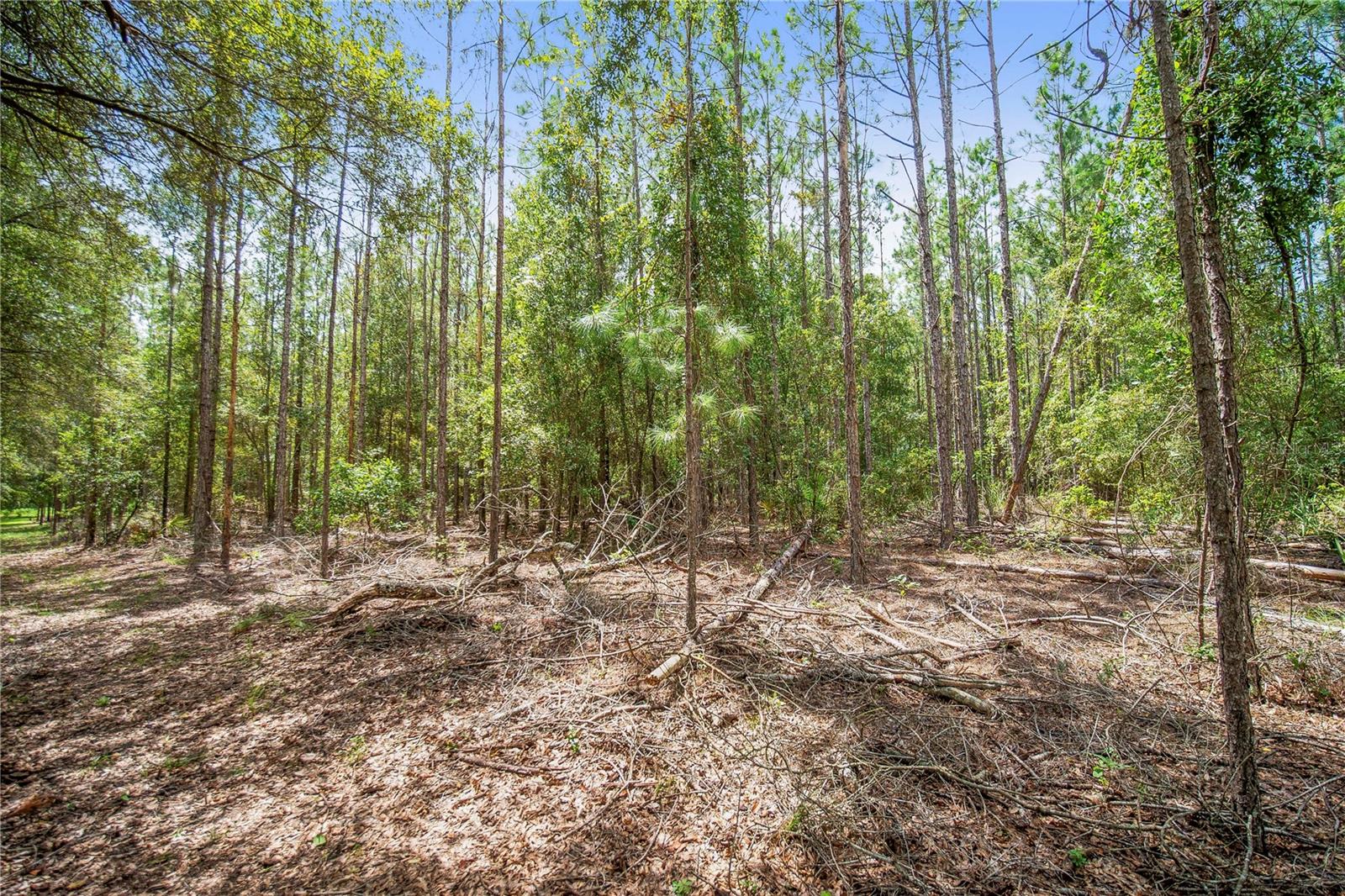 Ne Cr 337 Property Photo 5