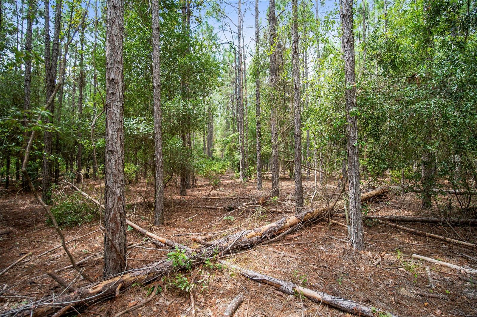 Ne Cr 337 Property Photo 6