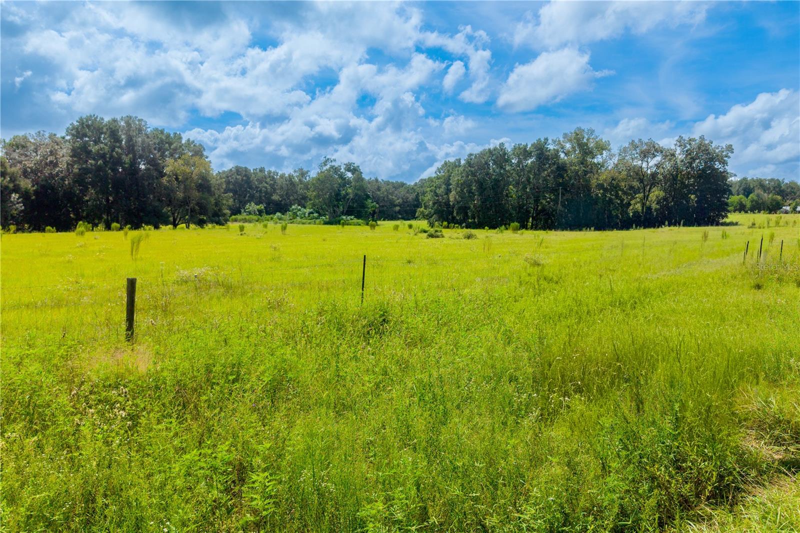 23137 Nw County Road 236 Property Photo 36