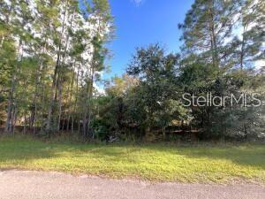 405 Pandora Dr Property Photo 1