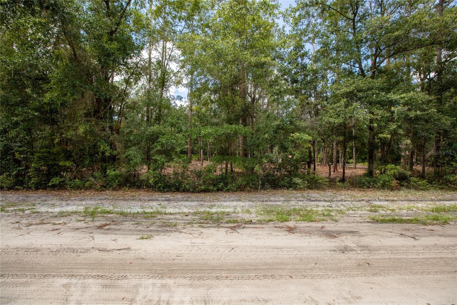 W Hillsborough Ave Property Photo 6
