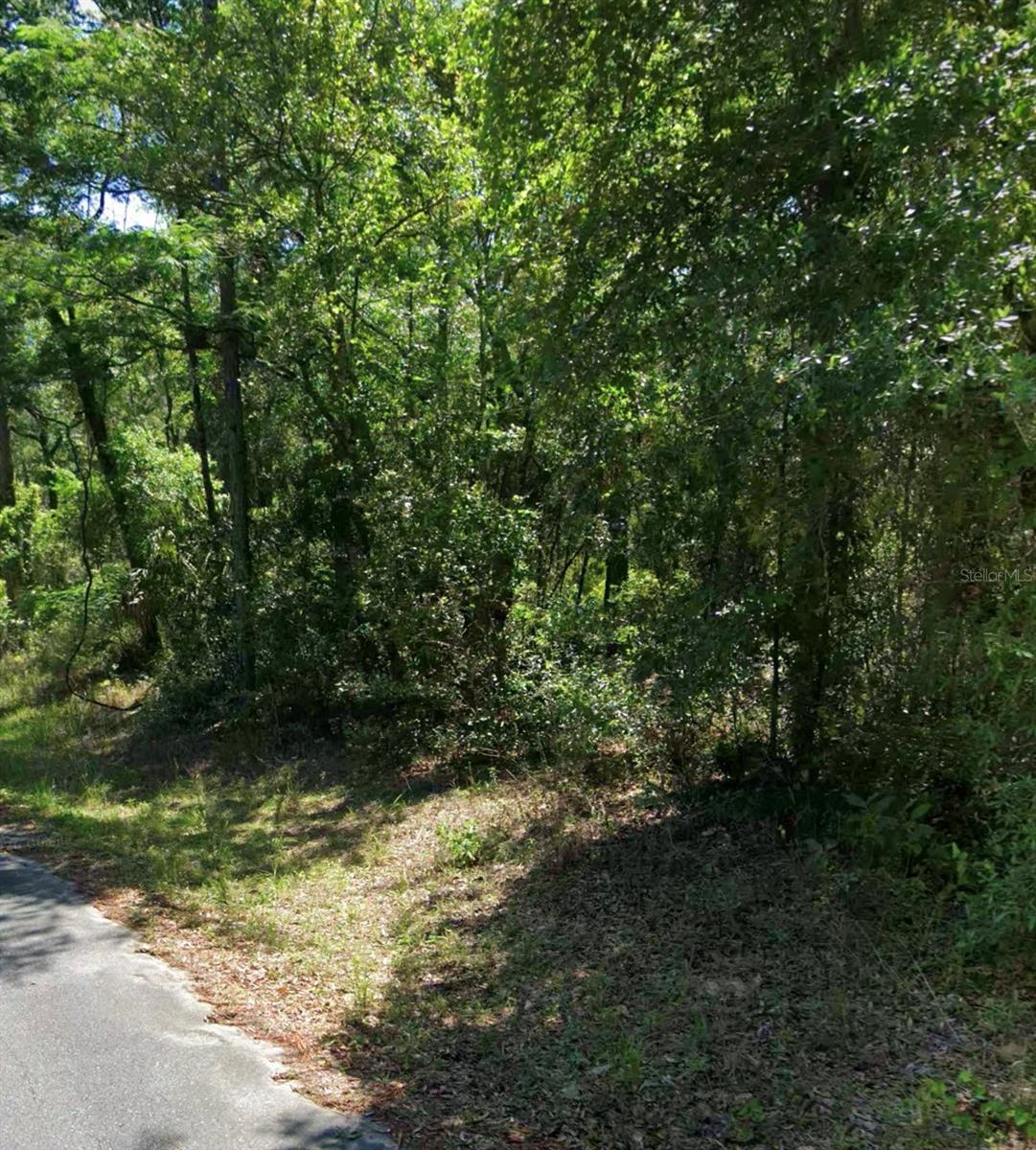 3676 E Walker St Property Photo 1