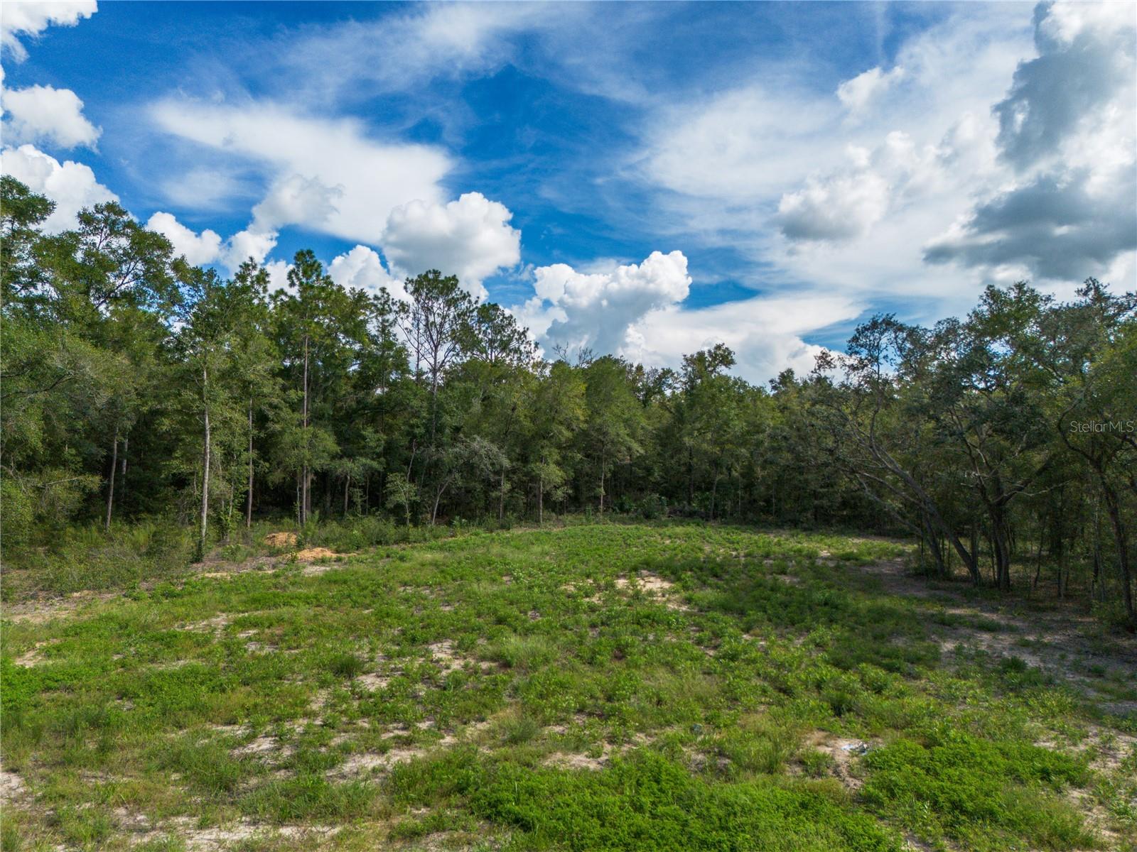 Tbd Ne 82nd Pl Property Photo 1