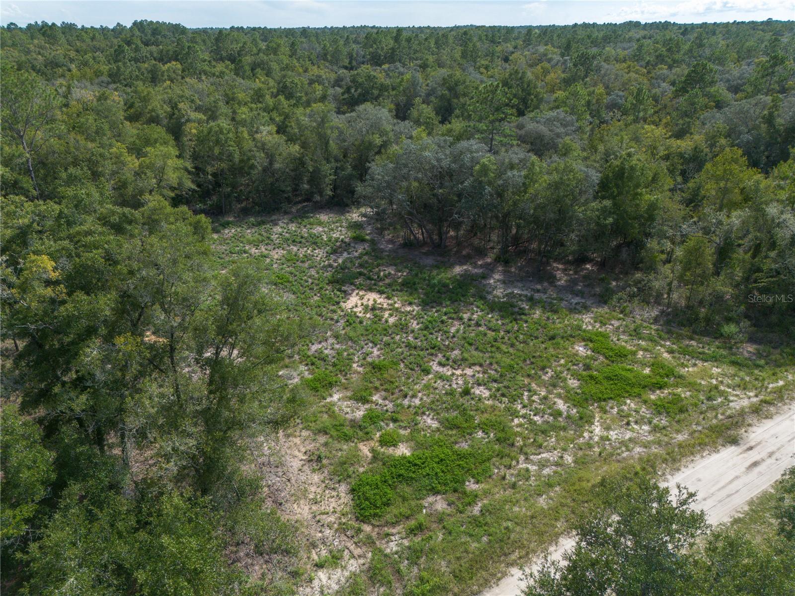 Tbd Ne 82nd Pl Property Photo 3