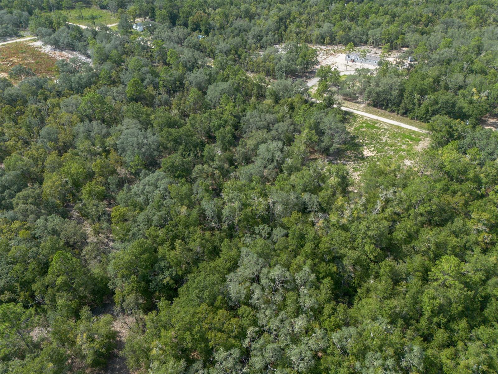 Tbd Ne 82nd Pl Property Photo 9