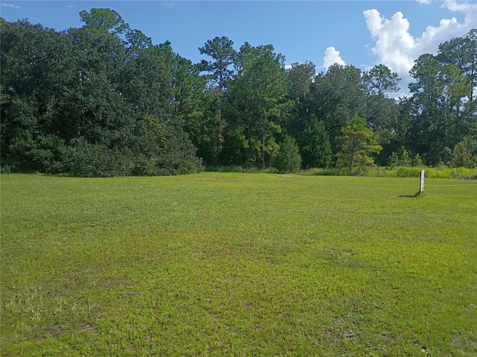 Tbd Ne Us Highway 301 Property Photo 1