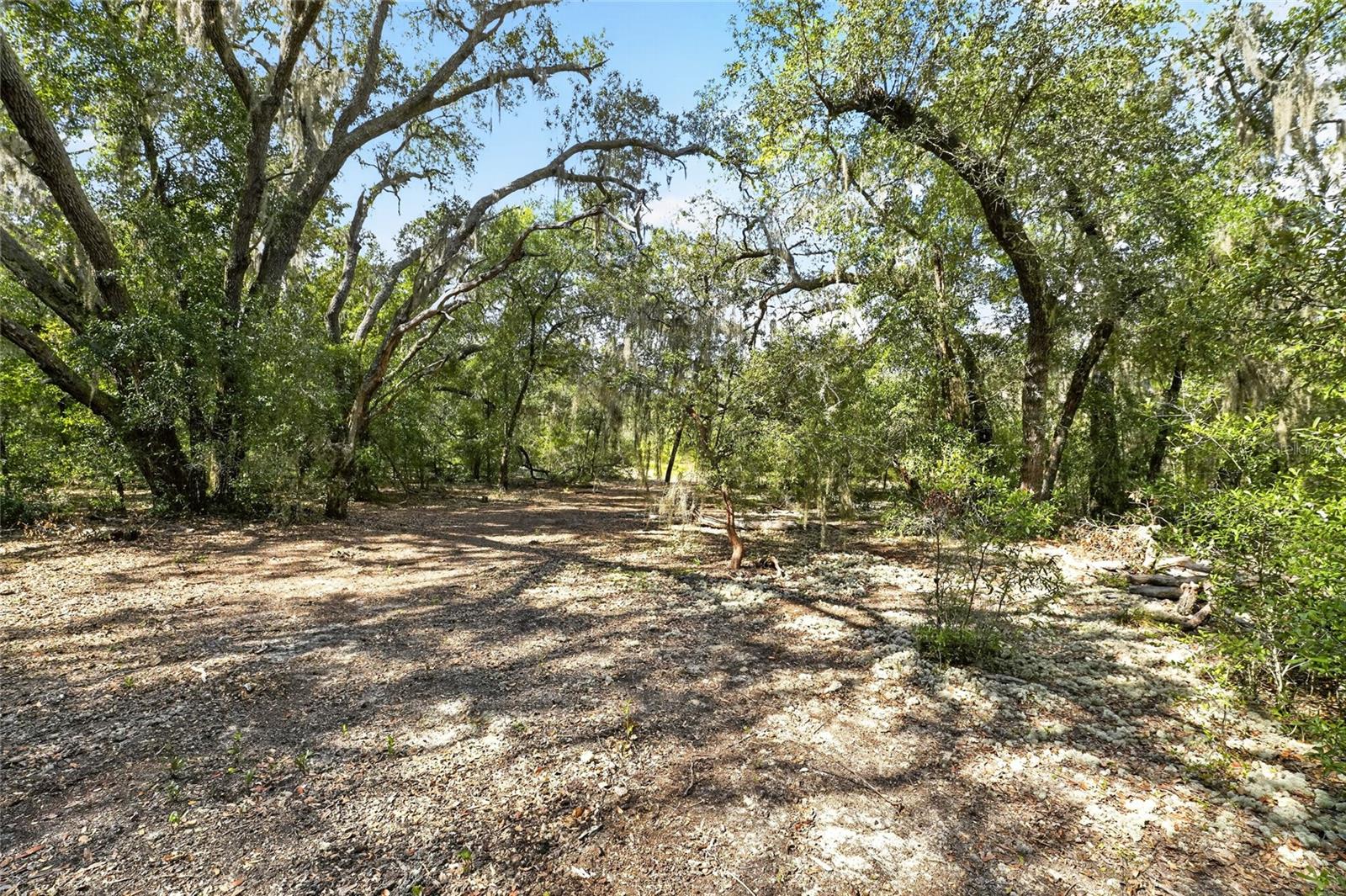 129 Viola Dr Property Photo 12