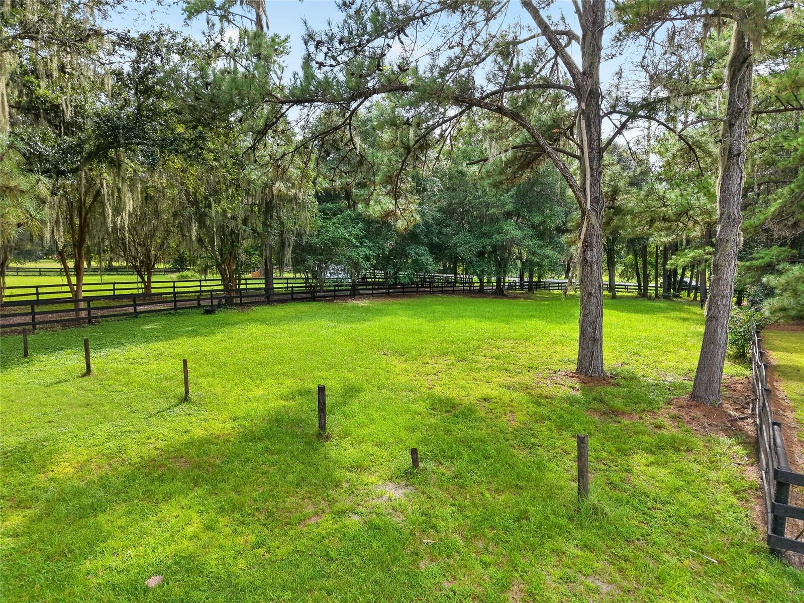 17931 Se County Road 234 Property Photo 80