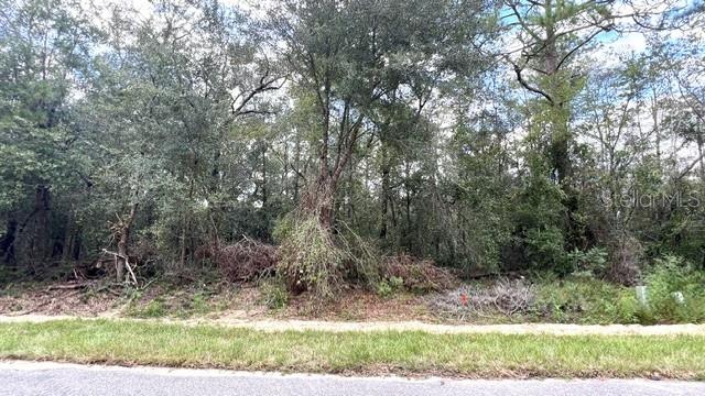 6252 N Cavalier Ter Property Photo 2