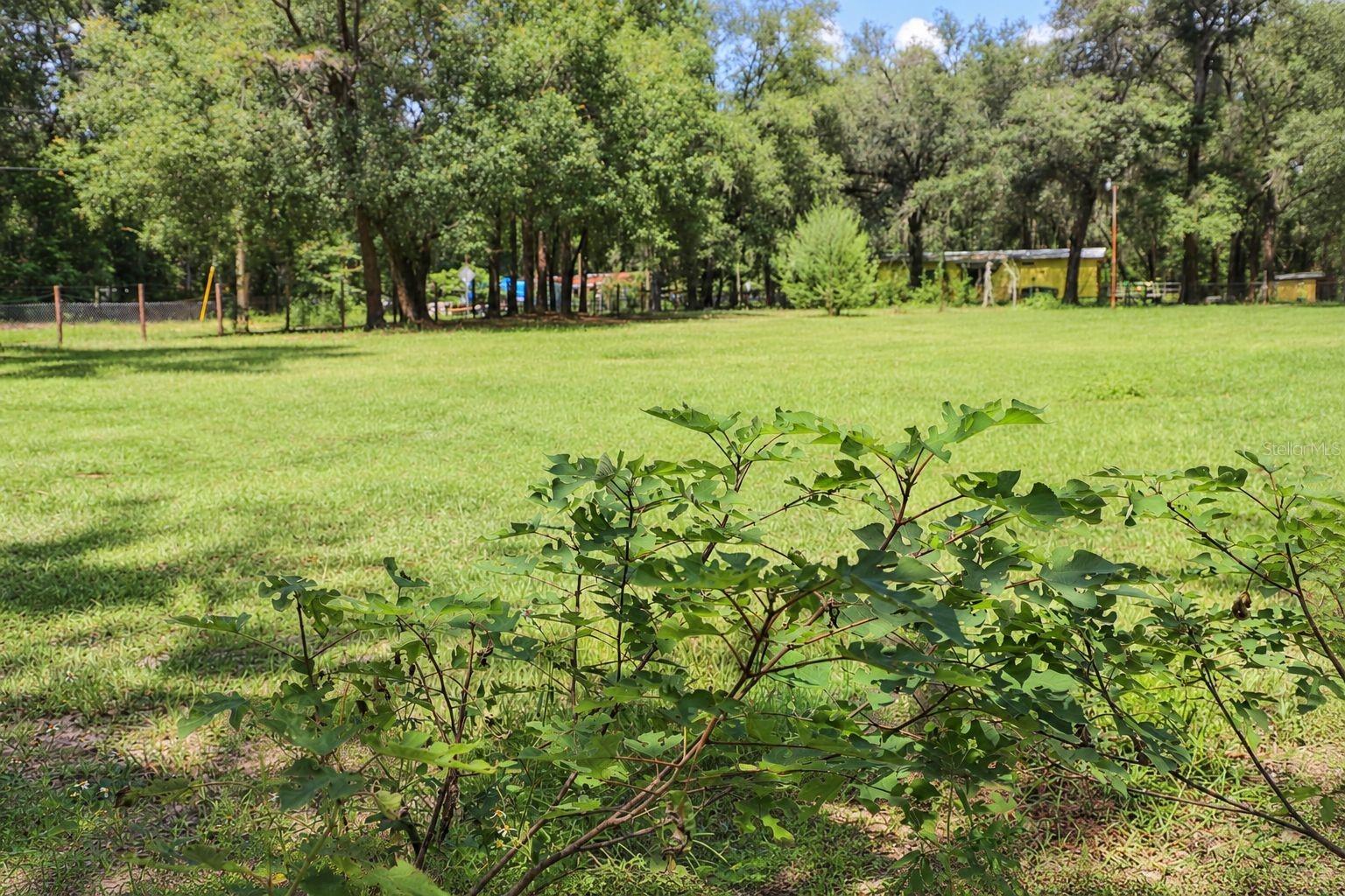 8231 Swan Lake Rd Property Photo 18