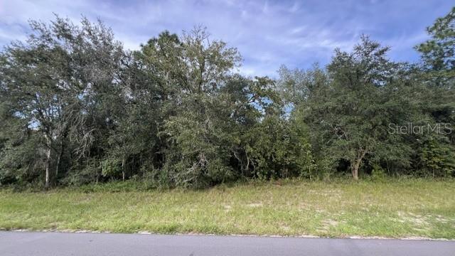 Tbd Sw 146th Lane Rd Property Photo 2