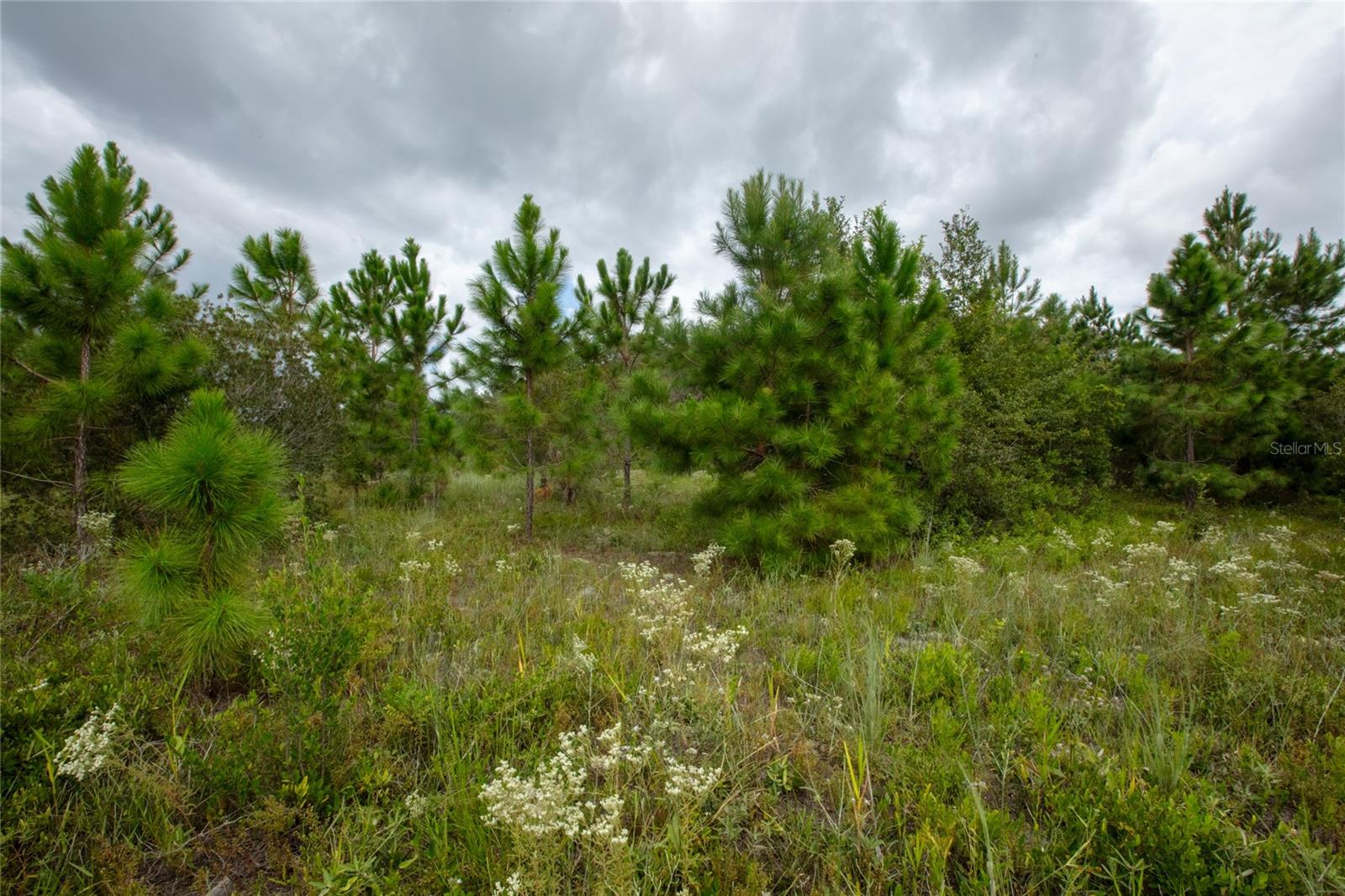 Se Cr 21b Property Photo 10