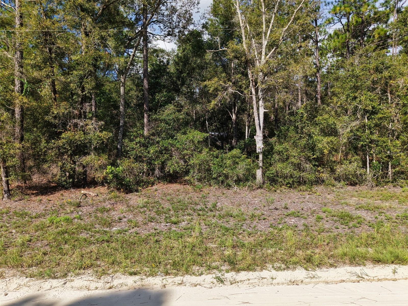 6339 Nw 17th Ct Property Photo 6