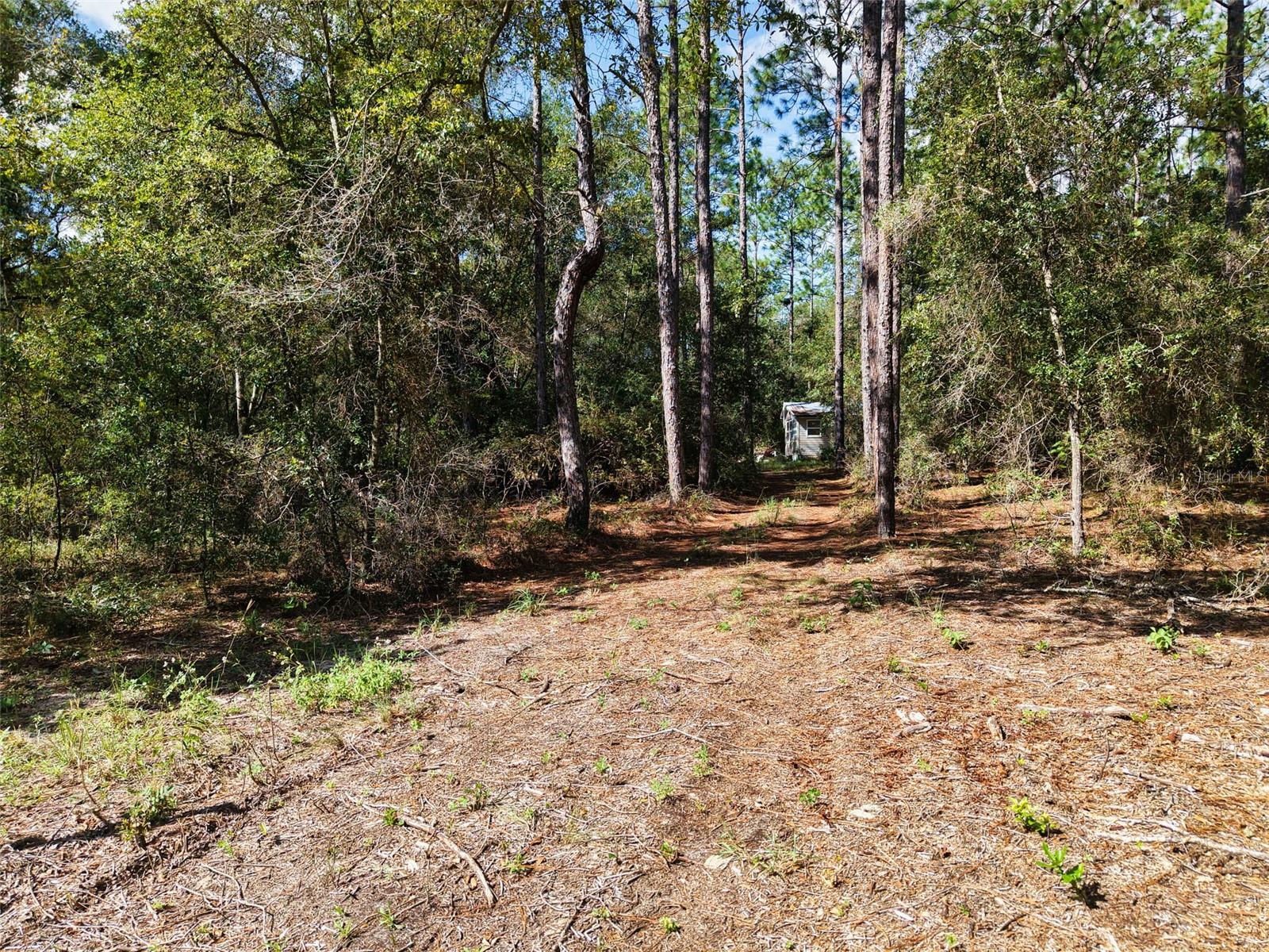 6339 Nw 17th Ct Property Photo 8