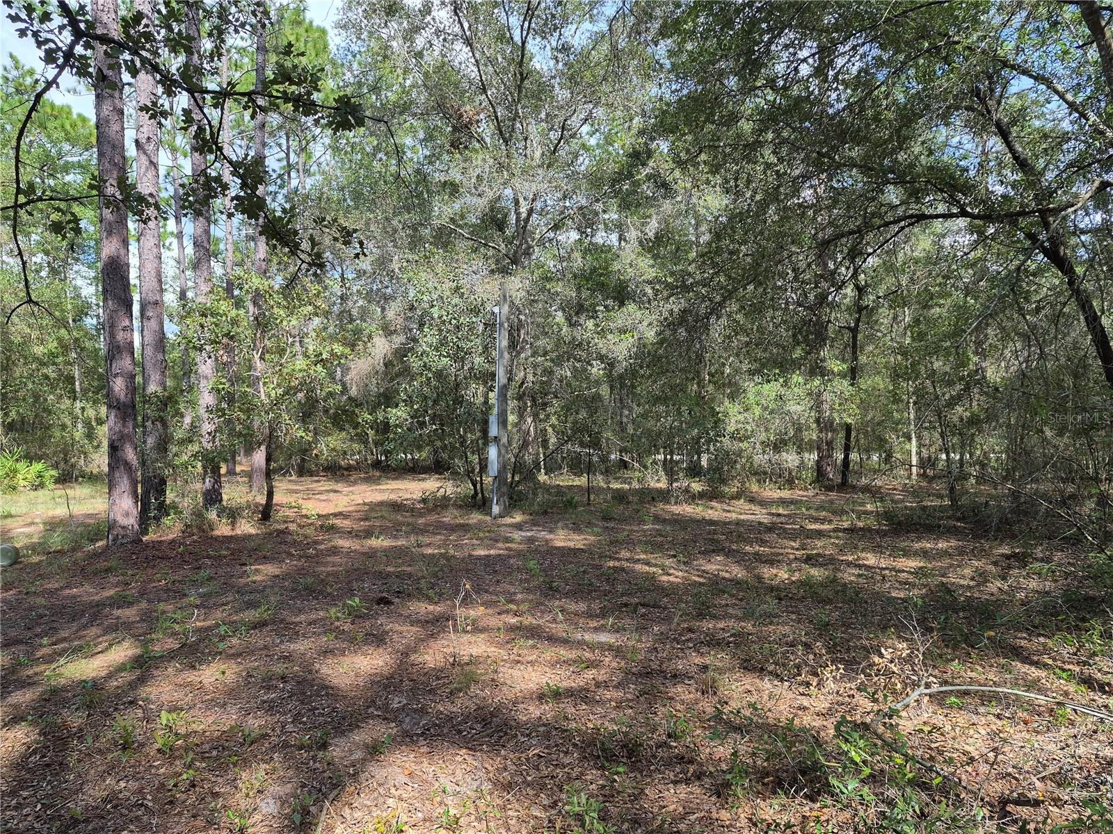 6339 Nw 17th Ct Property Photo 14