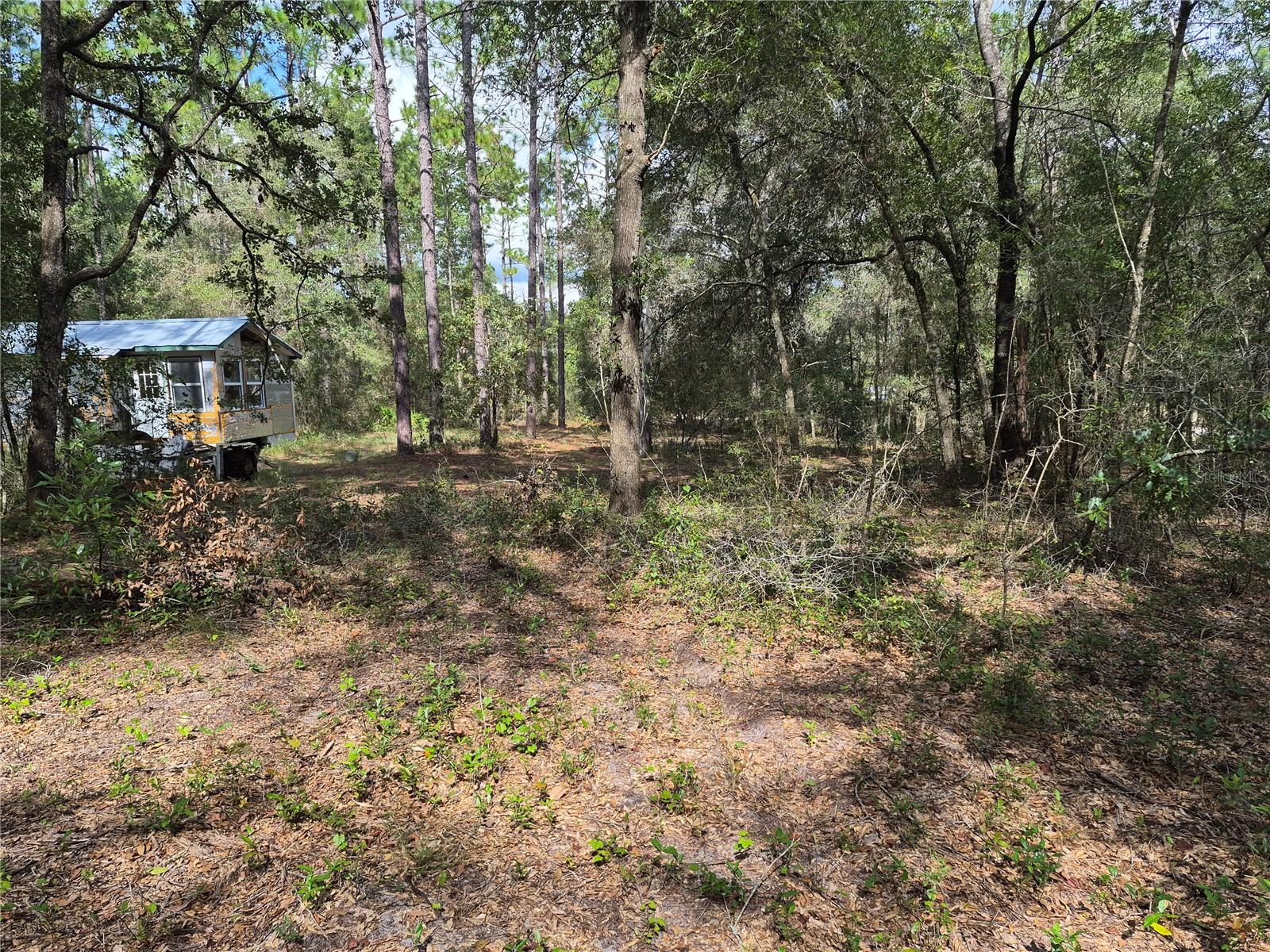 6339 Nw 17th Ct Property Photo 17