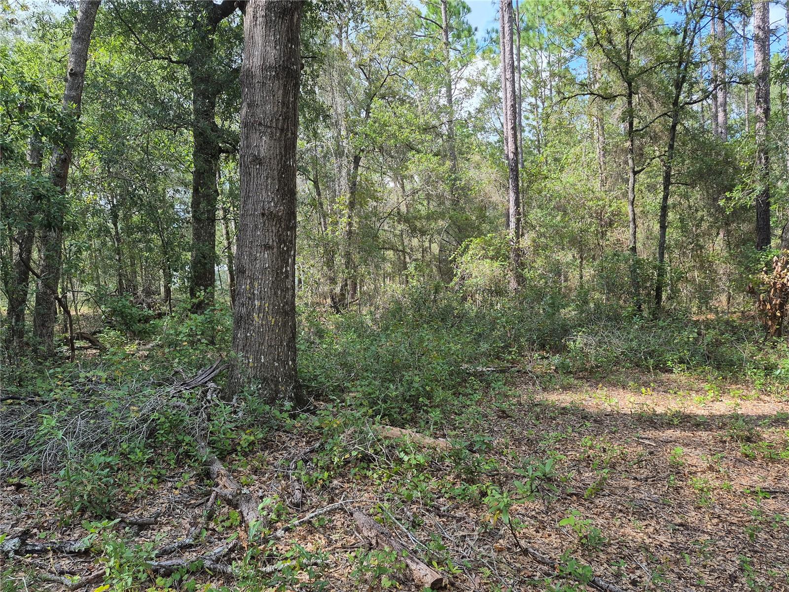 6339 Nw 17th Ct Property Photo 18
