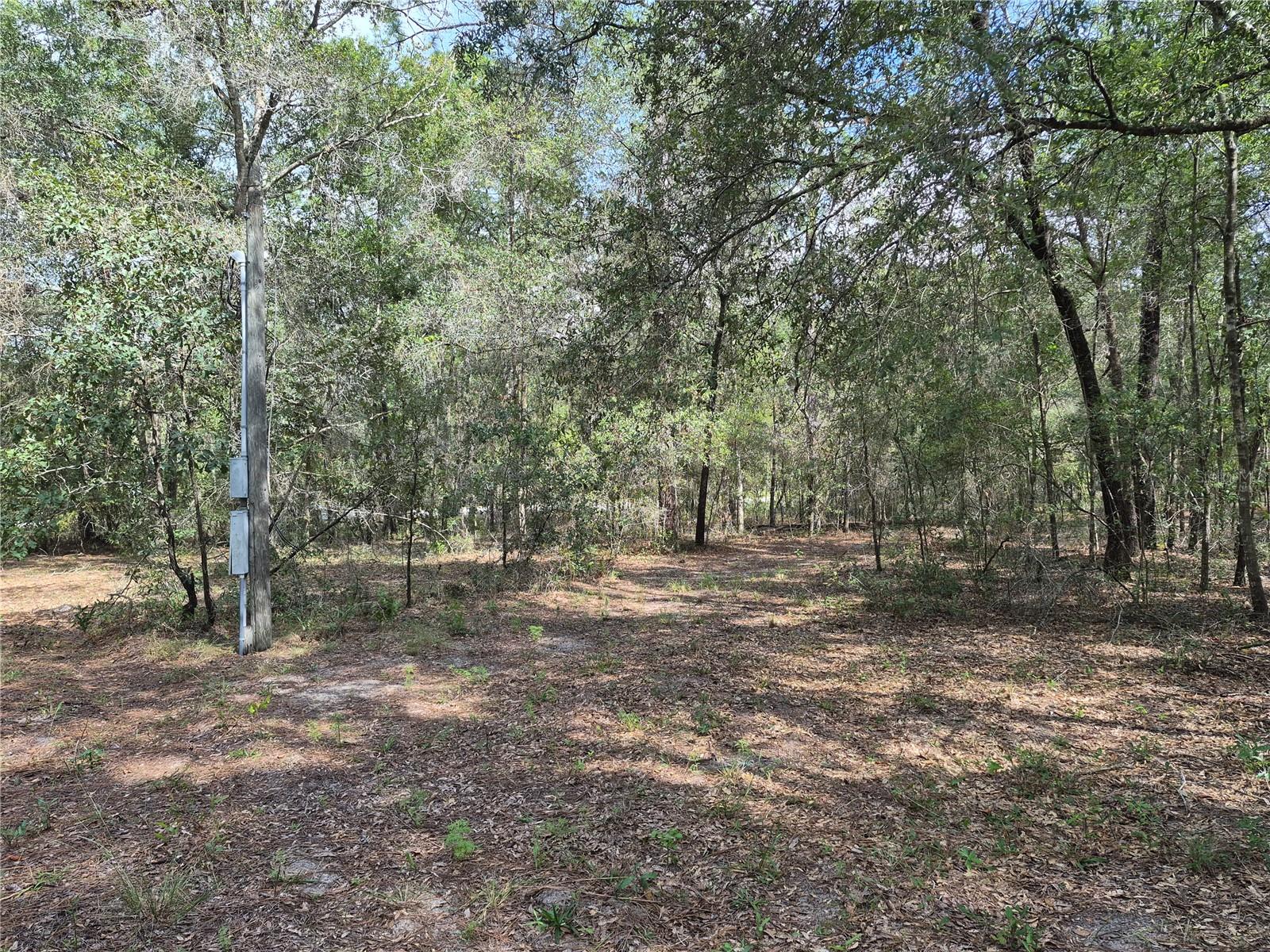 6339 Nw 17th Ct Property Photo 19