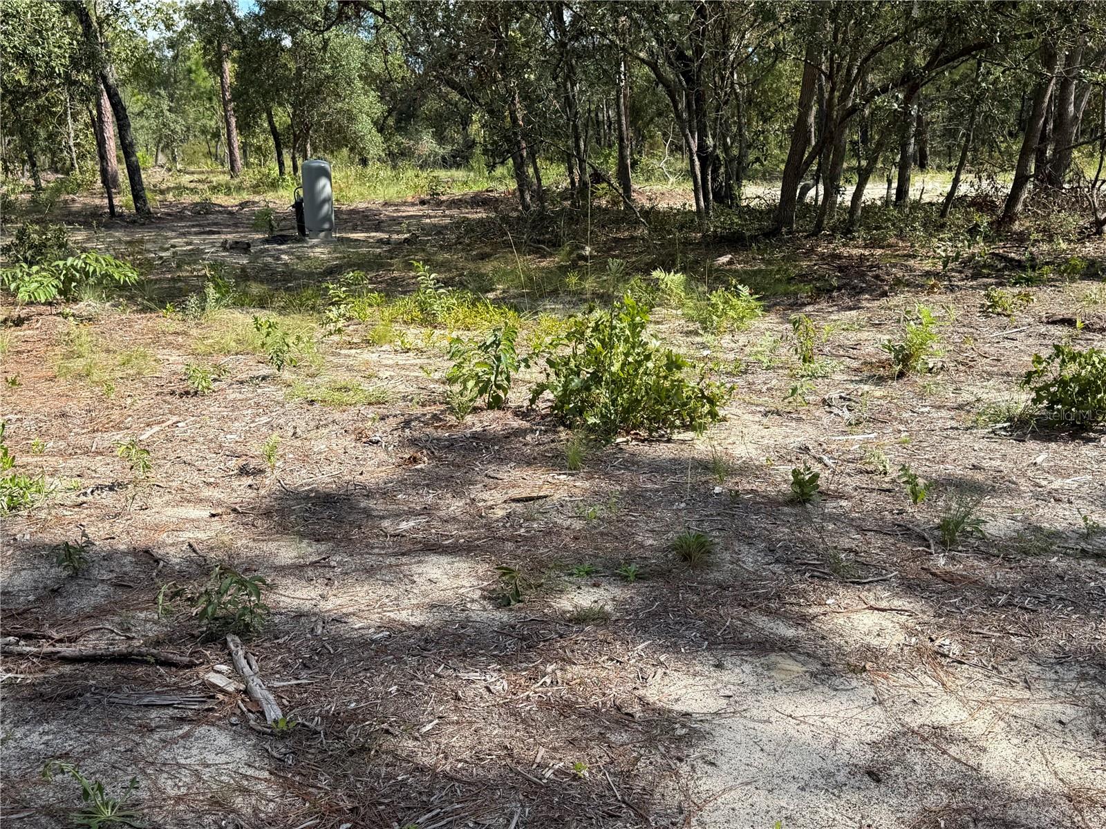 164 Melrose Landing Blvd Property Photo 3