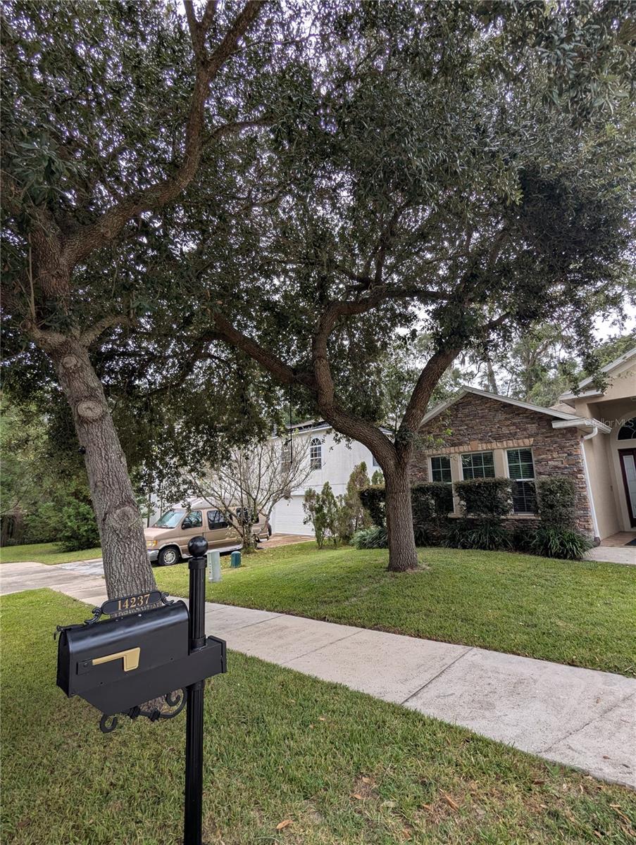14237 Nw 159th Pl Property Photo 51