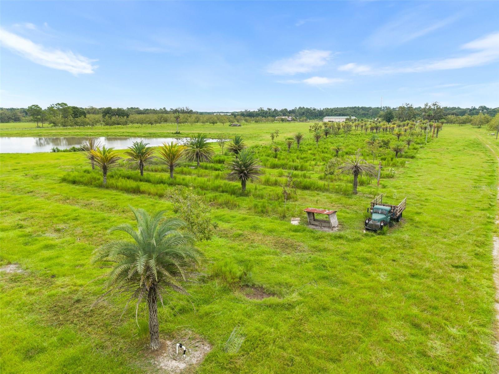 GC544089 Property Photo 29
