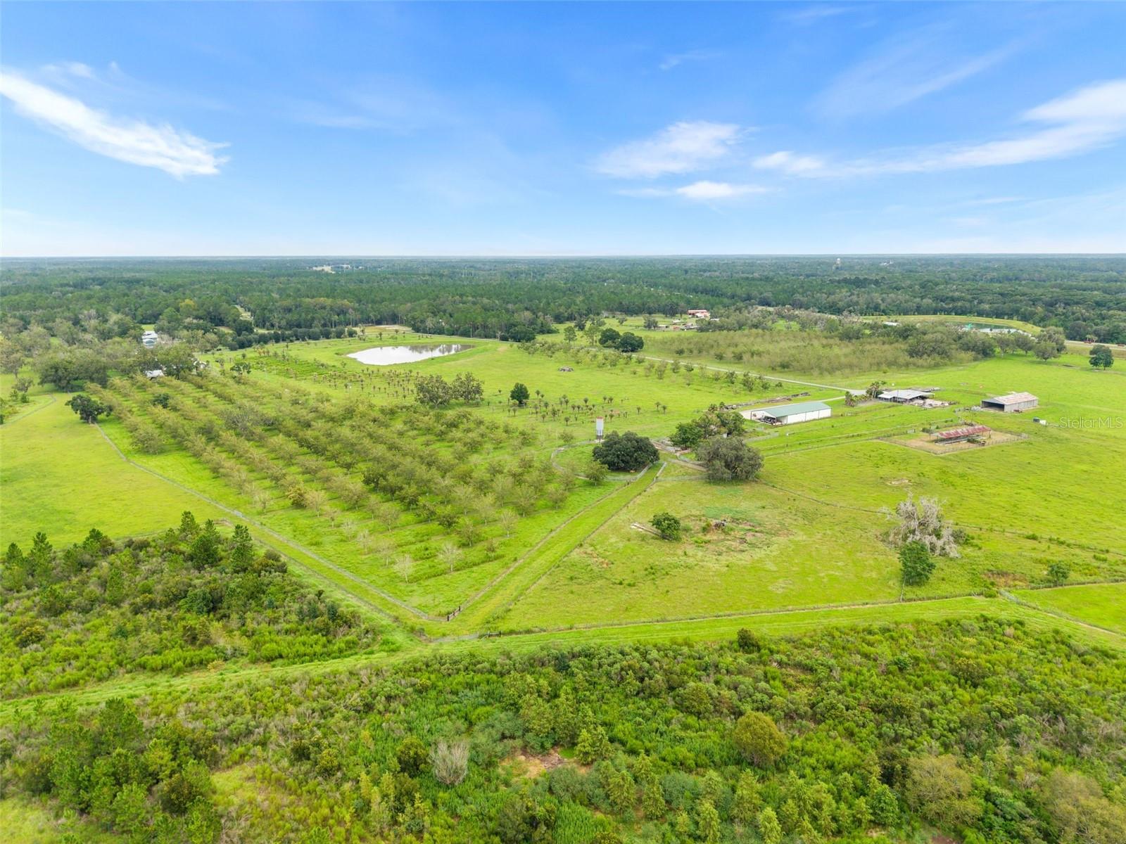 GC544089 Property Photo 31